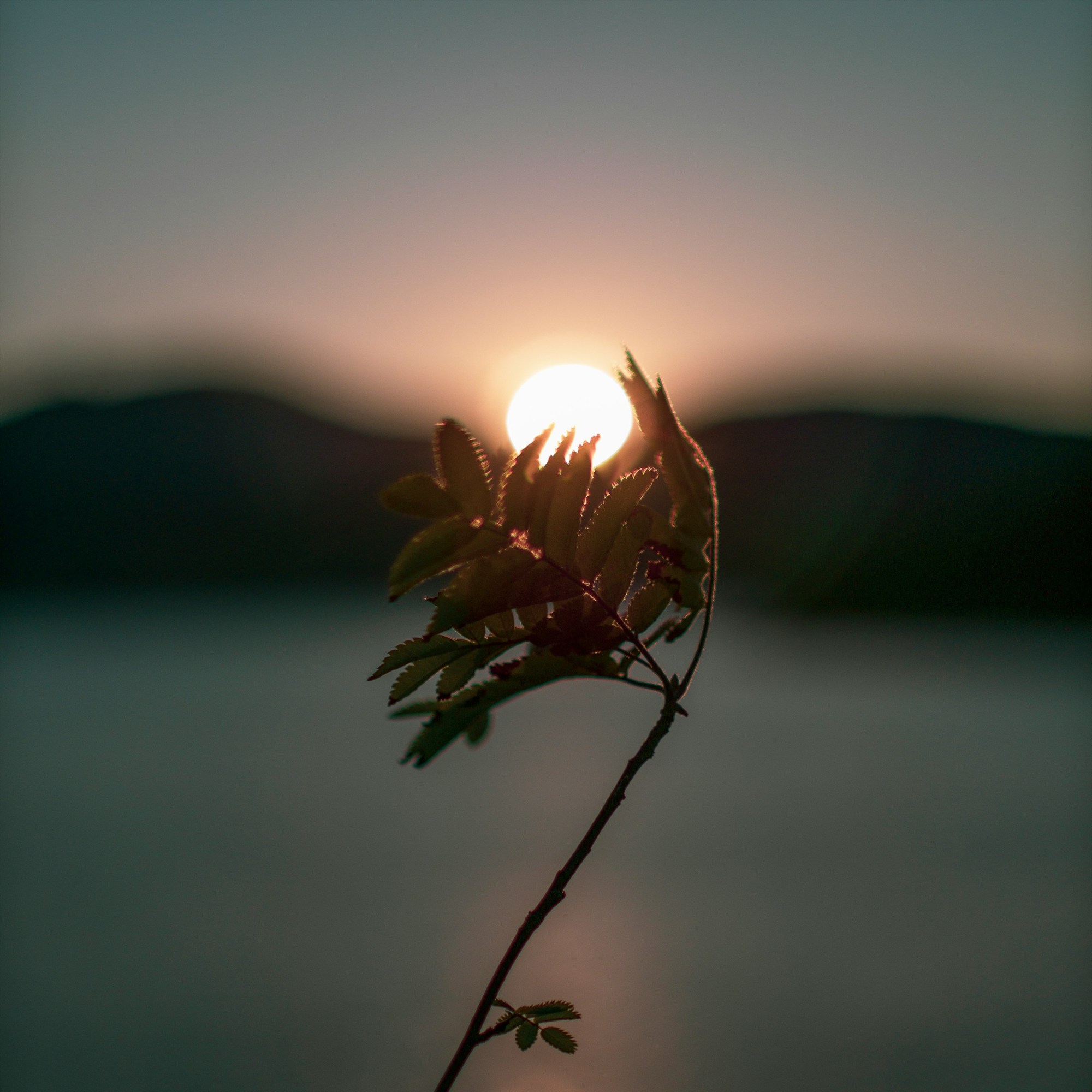 The Art of Mental Clarity